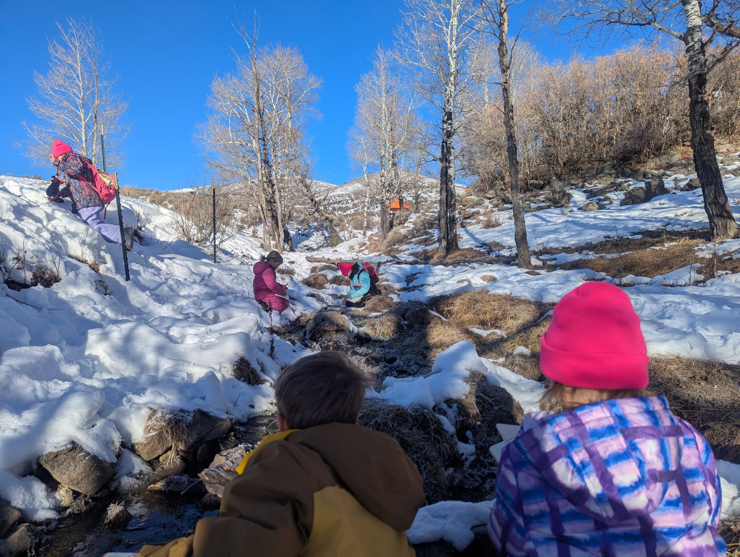 Students at the Volo base camp, doing an outdoor study.