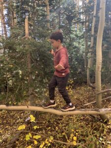 One of the Volo participants balancing on a log during outdoor learning adventures.