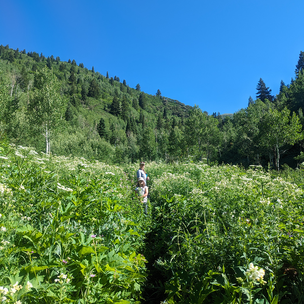 Hiking with Volo, an alternative to private school near Park City.