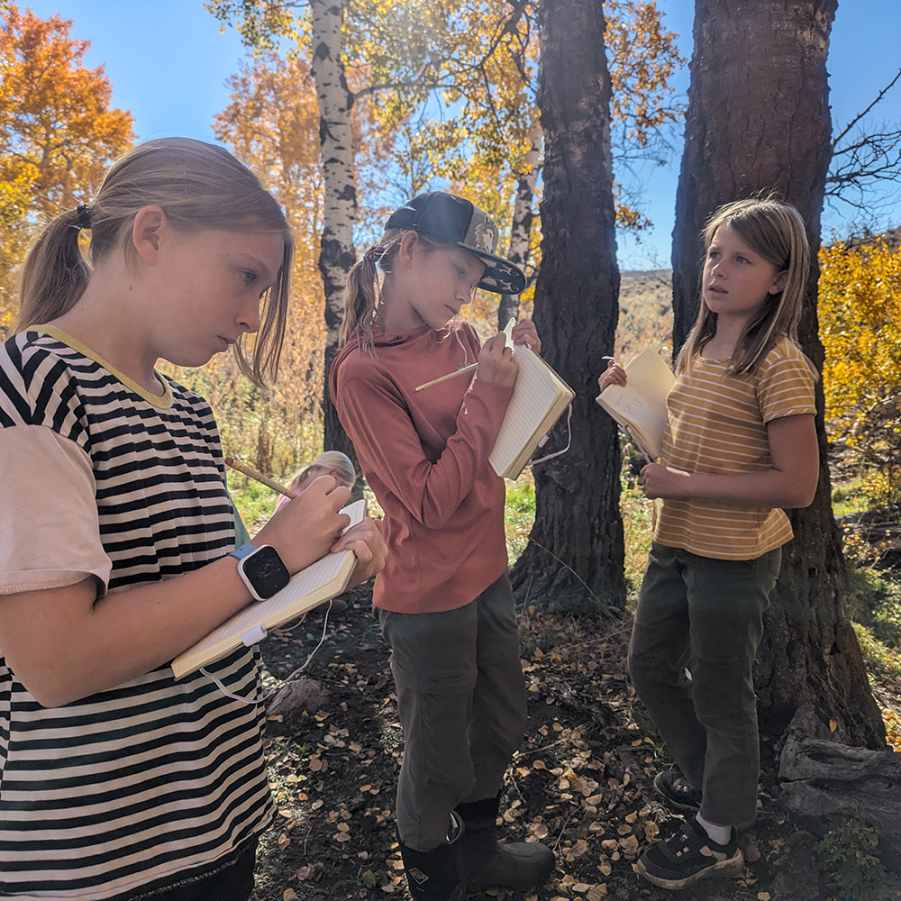 Young people observing and writing at Volo, an alternative to private school near Park City.